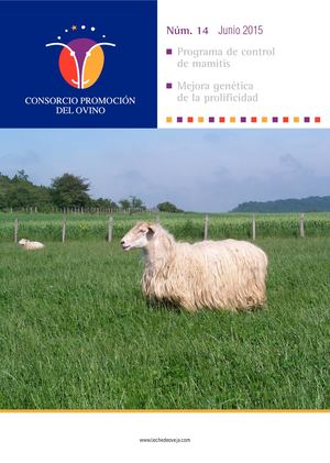 Consorcio Promoción Ovino 2015