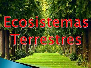 Ecosistemas Terrestres (1)