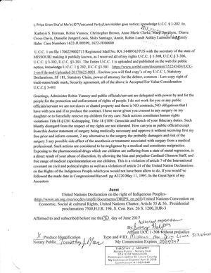 Ucc 1 Notice To Family Court 20171109 0001