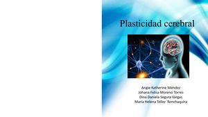 Plasticidad Cerebral