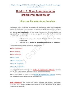 Unidad 1 Apuntes Dos Hojas Del Tema 1