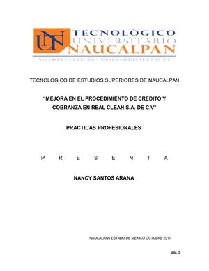 Informe De Practica Profesional Santos Arana