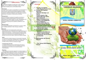 Triptico de la Contaminacion Ambientas