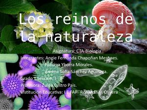 Reinos De La Naturaleza