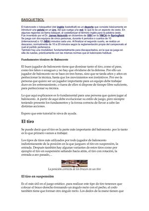 Reglas Básicas Del Voleibol Bila