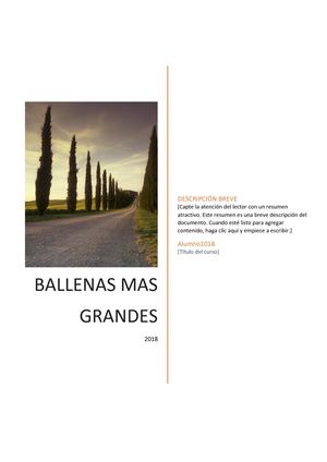 Informacion De Ballenas