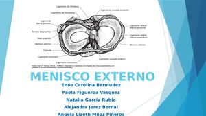 Menisco Externo Diapositivas