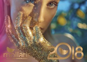 Revista Formação MOLLARIS