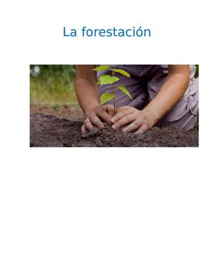 La Forestación