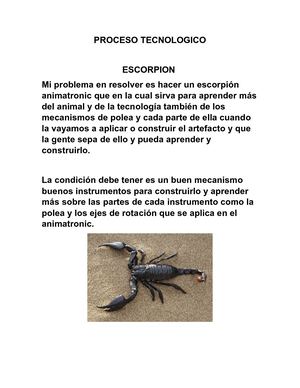 Proceso Tecnologico (1)