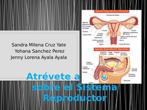 Atrévete a indagar sobre el Sistema Reproductor