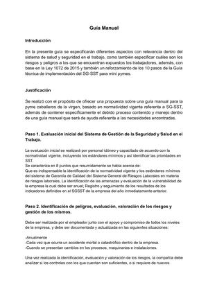 Guia Manual Sst