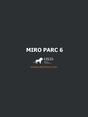 Decor Miro Parc 6