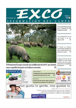 Periódico de noviembre