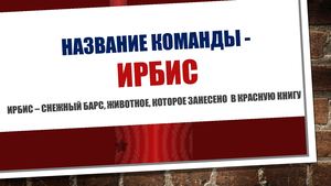 Авторы проекта