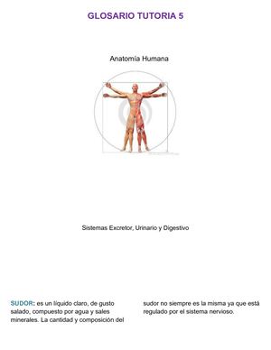 Glosario Tutoria 5