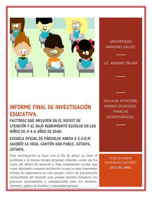 informe Final Investigación