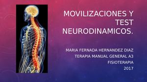Movilizaciones Y Test Neurodinamicos
