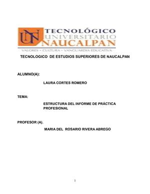 Desarrollo De Informe De Practicas Profesionales
