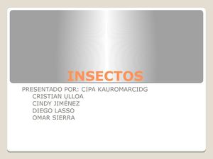 Insectos Exposicion Cristian Ulloa