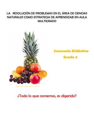 Secuencia Didáctica 4