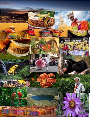 JULIANA CUEVAS VEGA-Modulos 2017