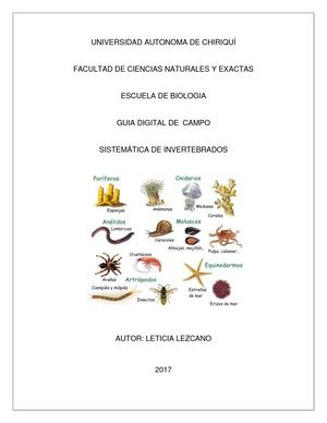 Guia De Campo Invertebrados
