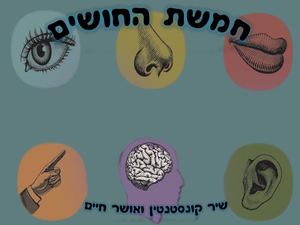 חמשת החושים סופי