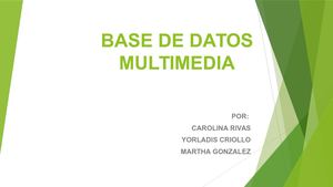 Base De Datos Multimedia Exposicion