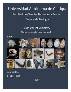 Guia de campo, Sistematica de Invertebrados 2017