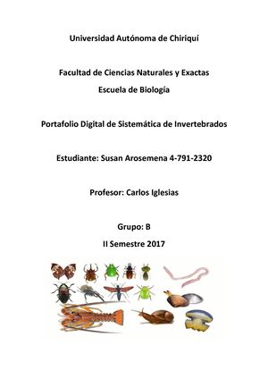 Portafolio De Invertebrados