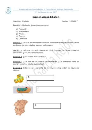 Examen Unidad 1parte A Repetido