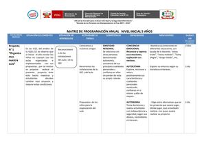 Matriz De Programación Anual 5 Años Nivel Inicial