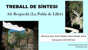 Treball De Síntesi (Grup 2)
