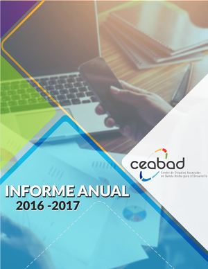 Informe Anual CEABAD 2016-2017