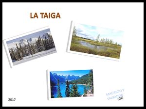Presentación Taiga