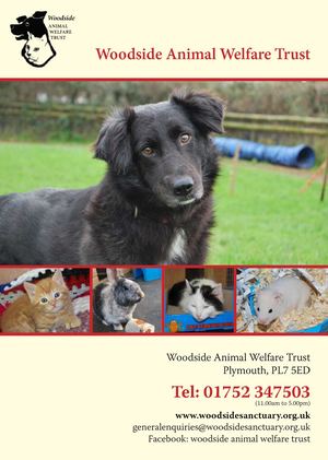 Woodside For Calaméo