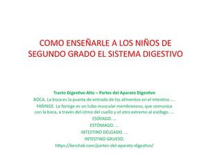 El Aparato Digestivo (1)