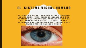 Calameo Sistema Visual
