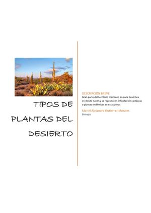 Tipos De Plantas Desérticas