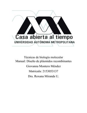 Diseño de plásmidos recombinantes