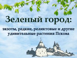 Зеленый город: экзоты, редкие, реликтовые и другие удивительные растения Пскова