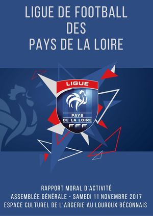 Ligue de Football des Pays de la Loire : bilan 2016-2017