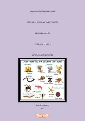 Guia Final S Invertebrado Es