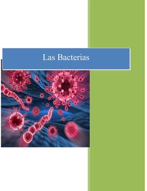 Bacterias