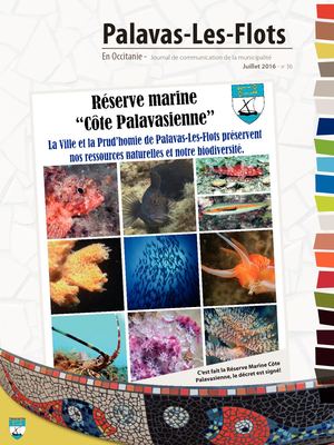 Bulletin Municipale 1  Calameo