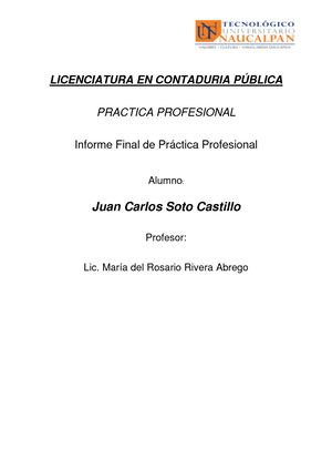 Informe Final Practicas Profesionales Sotocastillo J
