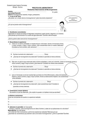 Laboratorio Microorganismos