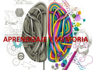 Aprendizaje Y Memoria