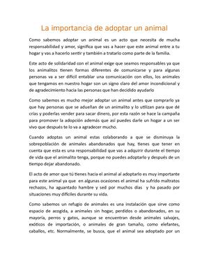 La Importancia De Adoptar Un Animal